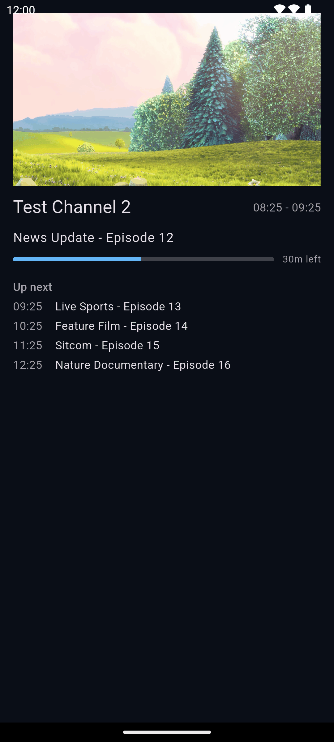 YAIP on a phone: a channel playing, with the programme on now, its progress and what is on next