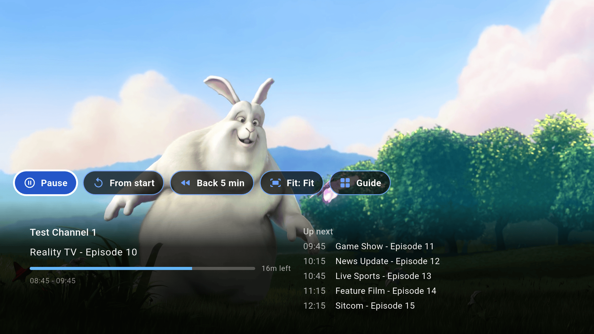 YAIP playing a live channel full screen on a TV, with the programme banner showing what is on now and next